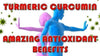 turmeric antioxidant benefits