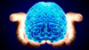turmeric benefits brain clarity