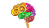 busy brain gears