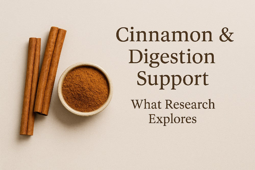 cinnamon sticks and powdered cinnamon on neutral background with digestion research title overlay