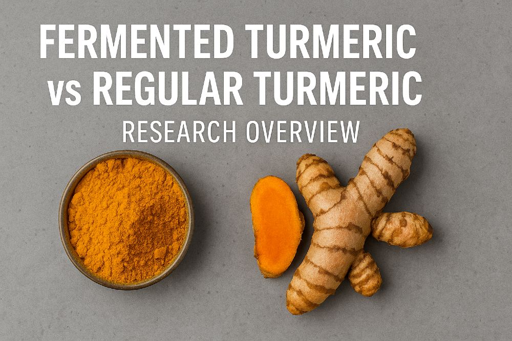 fermented turmeric powder beside regular turmeric root on a neutral background