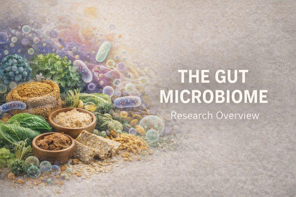 The Gut Microbiome Explained: What Research Reveals – Me First Living