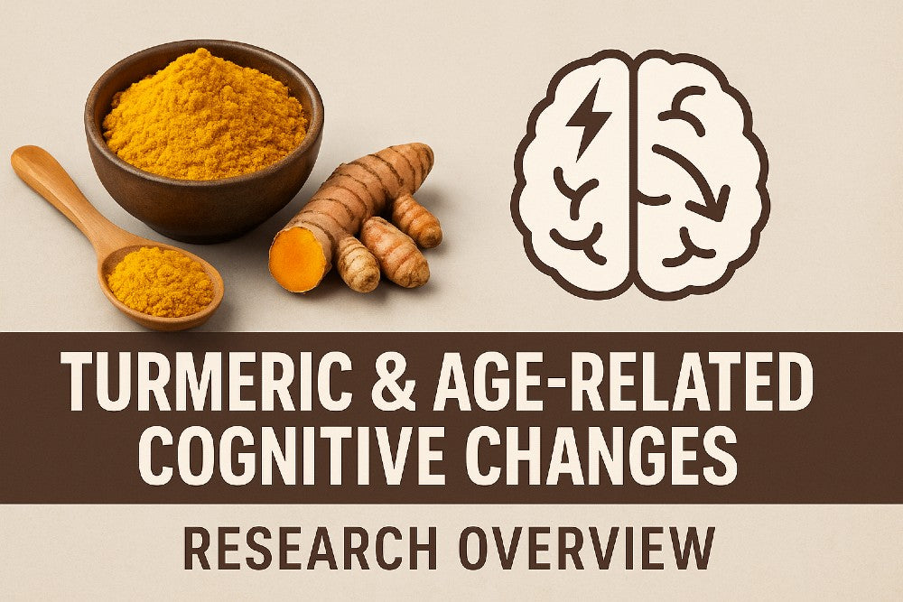 turmeric bowl with brain aging icon and research overview text
