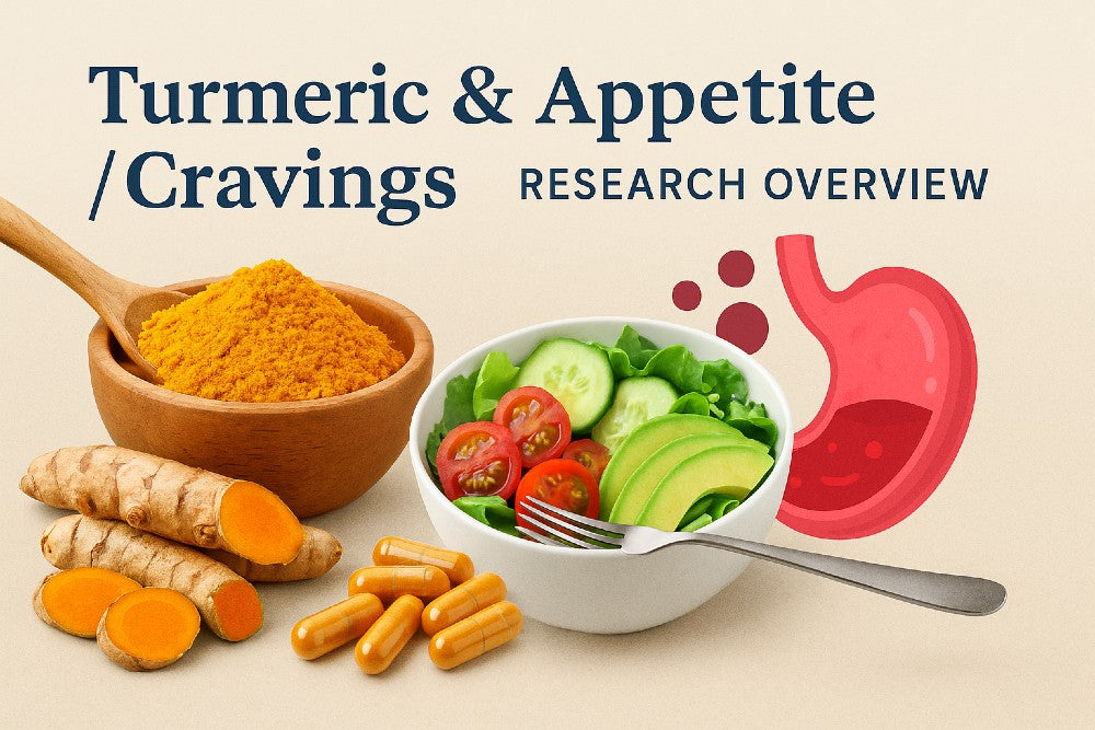 Turmeric and appetite research overview featuring turmeric powder, turmeric capsules, turmeric roots, a fresh salad bowl, and a medical stomach illustration.