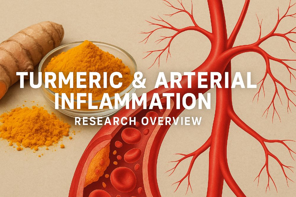 Turmeric and arterial inflammation research overview featuring turmeric powder, turmeric root, and a medical illustration of inflamed arteries.