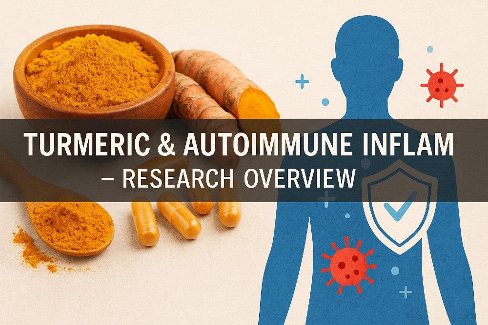 Turmeric and autoimmune inflammation research overview featuring turmeric powder, capsules, turmeric root, and a medical illustration of immune activity.