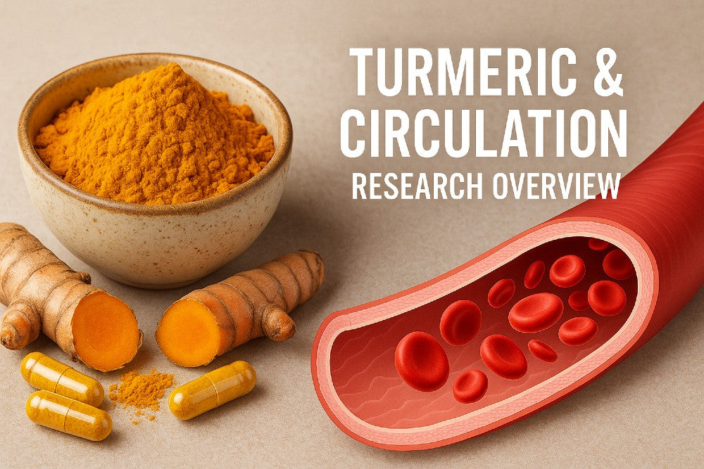 Turmeric and circulation research overview showing turmeric powder, capsules, roots, and a blood vessel illustration