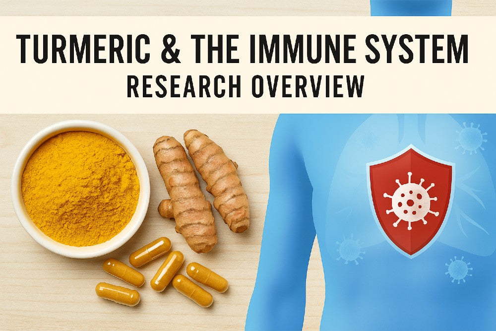 Turmeric and immune system research overview featuring turmeric powder, capsules, turmeric roots, and a medical illustration of immune shield protection.
