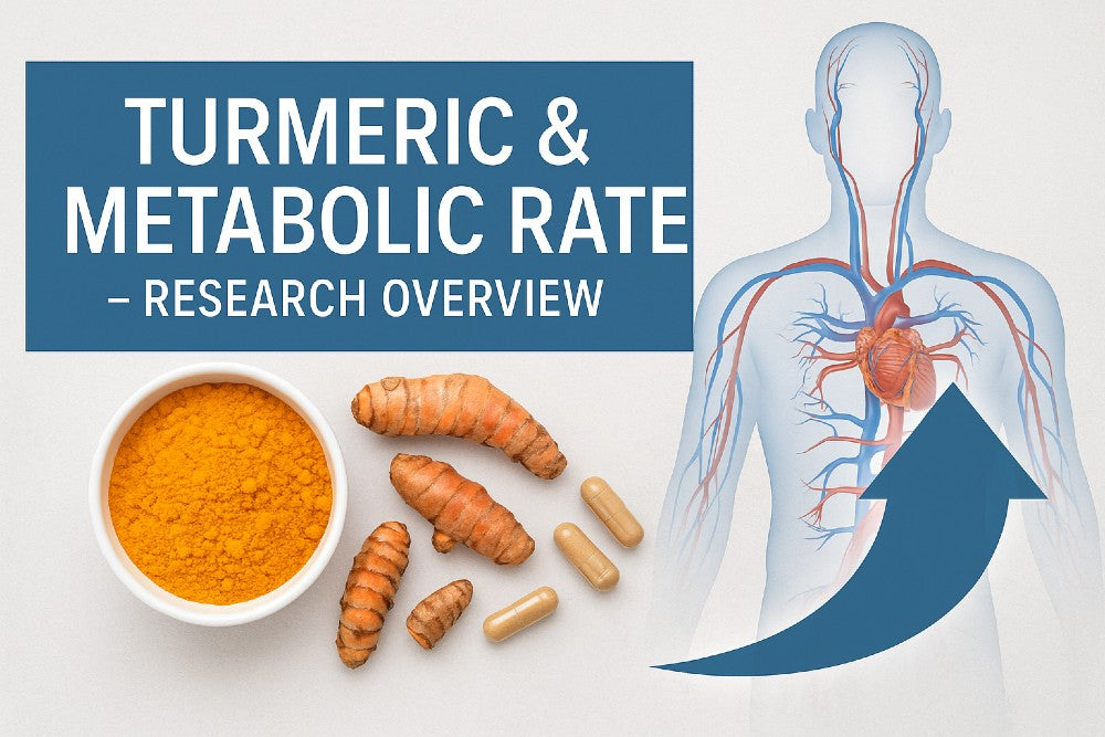 eric and metabolic rate research overview featuring turmeric powder, capsules, turmeric root, and a medical illustration of human metabolism and circulation.