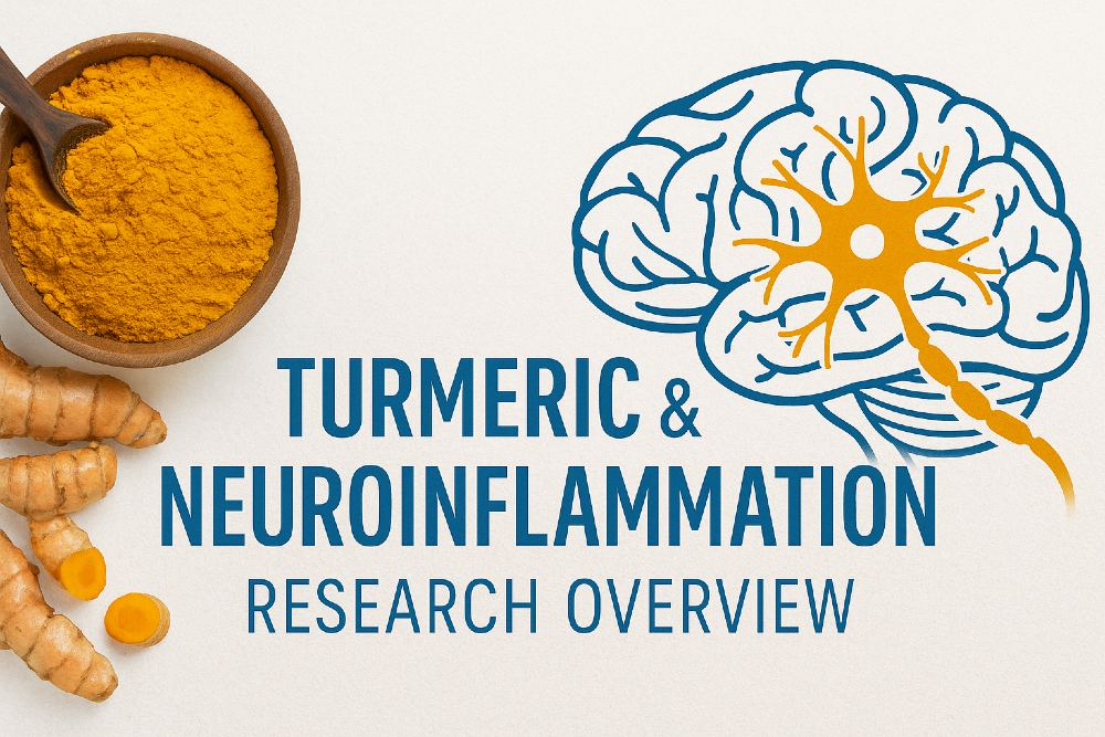 turmeric bowl with brain inflammation icon and research overview text