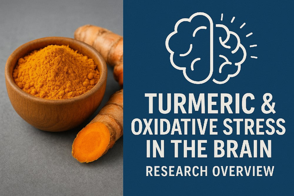 turmeric bowl with brain oxidative stress icon and research overview text