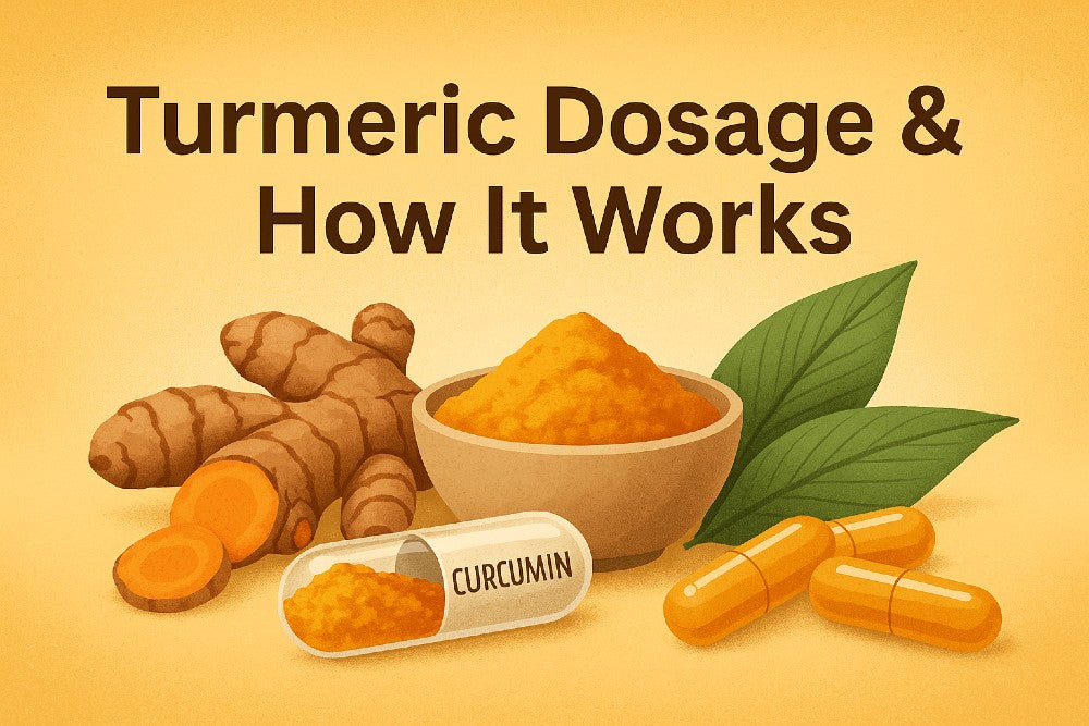 Educational illustration showing turmeric root, turmeric powder, and curcumin extract capsules with dosage arrows, representing how turmeric and curcumin dosage works.