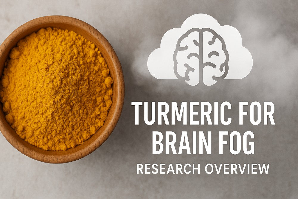turmeric bowl with brain fog illustration and title text