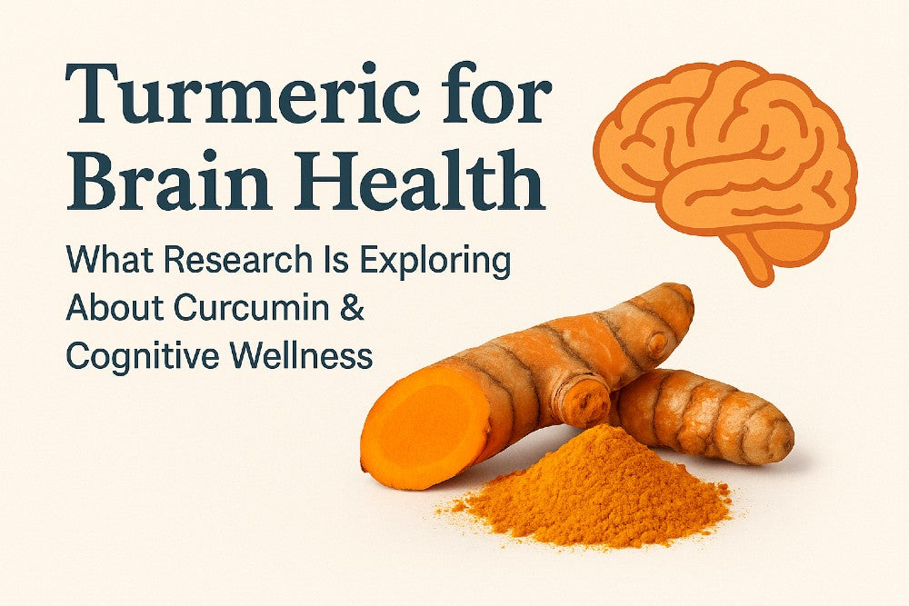 Turmeric root and powder with a brain icon illustrating research exploring curcumin’s role in cognitive wellness and brain health.
