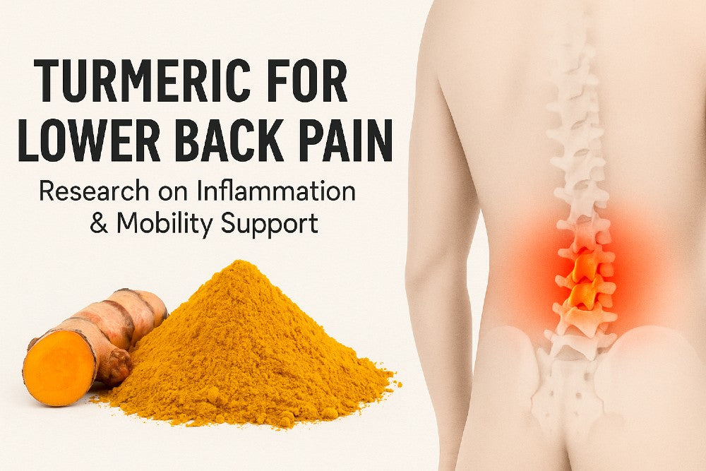 turmeric powder beside an illustration of an inflamed lower back