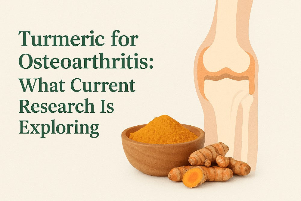 Turmeric for osteoarthritis research infographic showing turmeric root, powder, and knee joint illustration