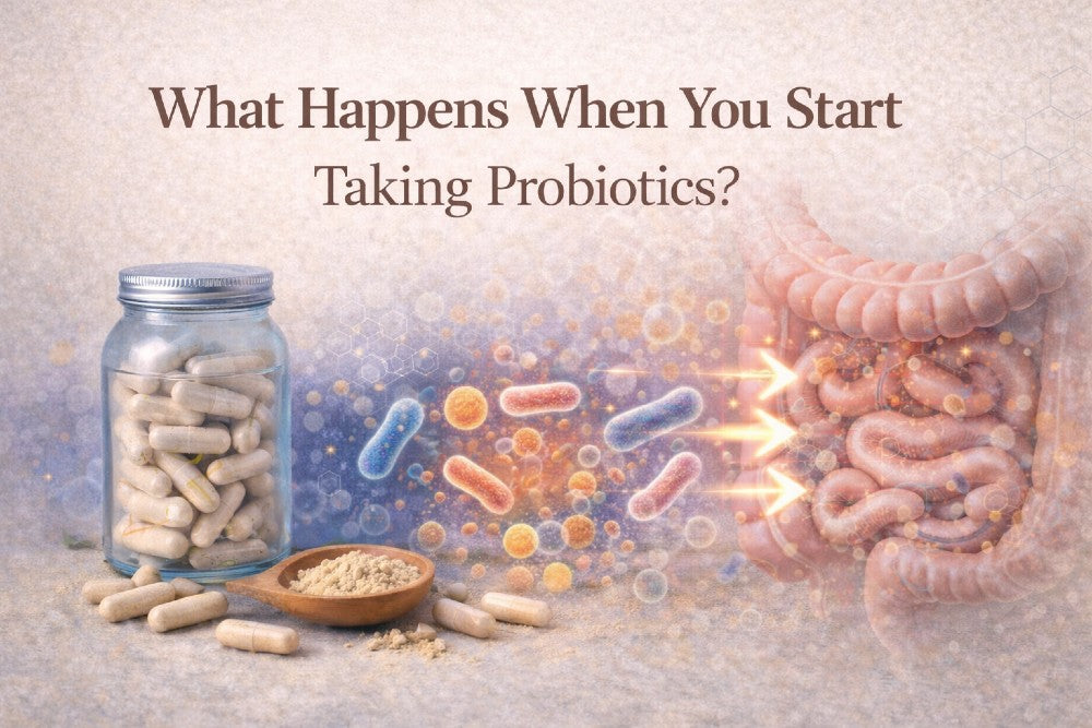 What Happens When You Start Taking Probiotics? A Research Guide – Me ...